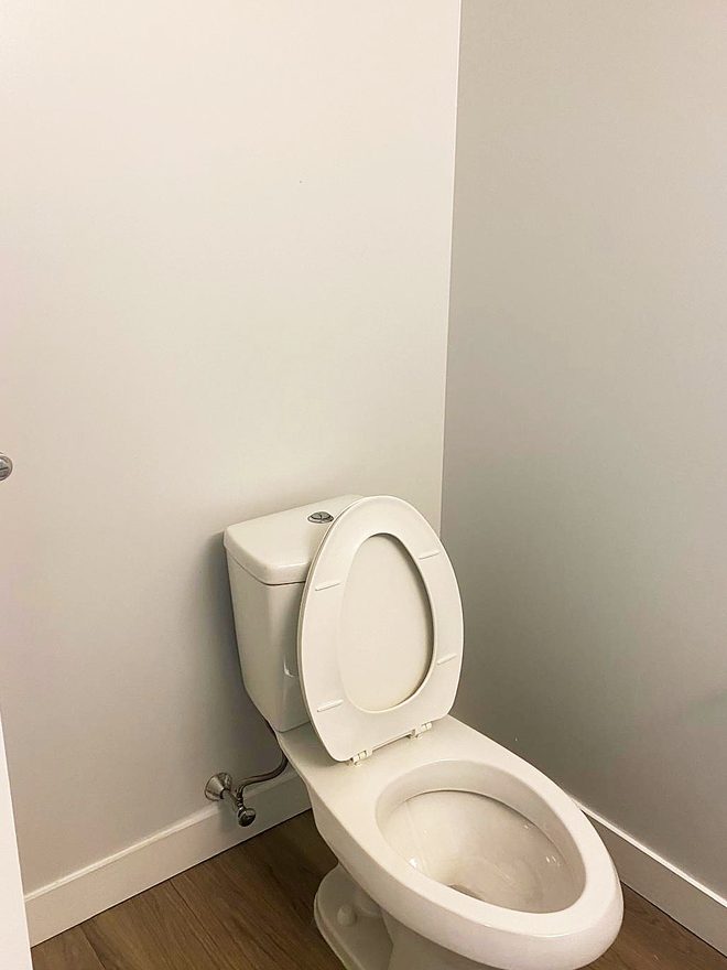 A cleaned toilet with the floor around and behind it