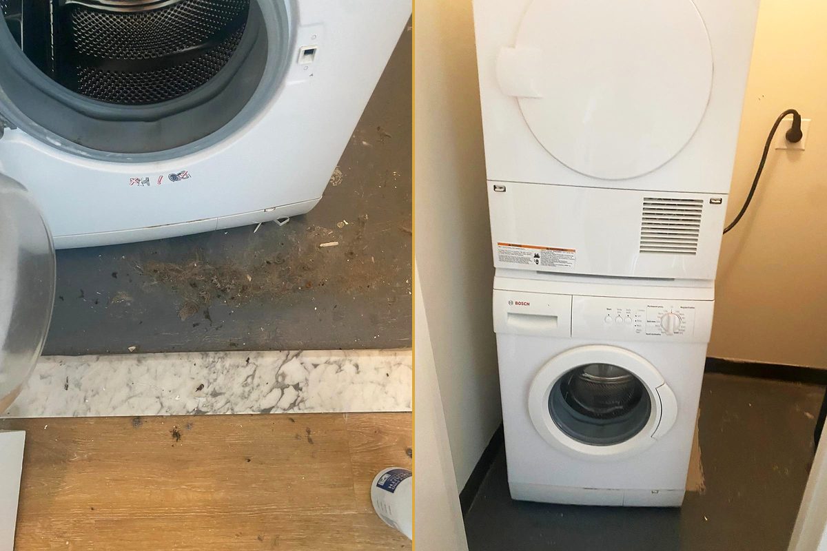 The filthy floor uncovered when a dryer is pulled out, and the same spot clean with the machine back in place